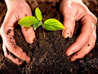 Beneficios y ventajas del abono orgánico ecológico